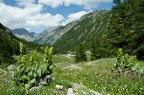 prato..