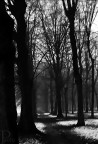 Esterni