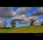 Paesaggio