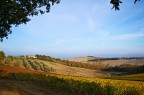 Una mattina piuttosto presto, dopo un turno di notte, tornando a casa. Penso che questa foto possa rappresentare con una sufficiente approssimazione un vero casolare di campagna toscano dell'immediato dopo guerra

Critiche e commenti sempre ben accetti.