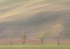 Campagna Pisana 1