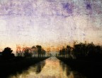 Golden purple light