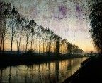 Golden river