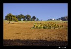 Colori autunnali