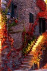 In uno di quei tanti paesi/frazioni sulle colline nei pressi del lago trasimeno.