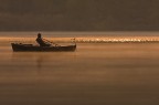 Pescatore sul lago di Alserio