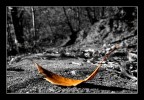 autunno