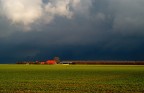 Paesaggio bucolico olandese