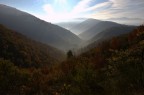 Nikon D7000
18mm ISO 100
1/200sec f18