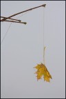 ...aspettando che l'inverno abbocchi.