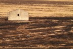 Una casa isolata, nella calura di un'arida campagna, in attesa che qualcuno forse torni.

SM

Canon 7D - Canon 300/2.8 - f5.6 - 1/400 - iso100