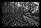 bianco e nero