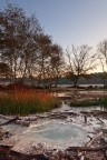 Propongo un altro scatto eseguito alle Caldare di Manziana (RM).
L'acqua che esce dal terreno  sulfurea non calda ma fredda!!!