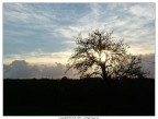 tramonto