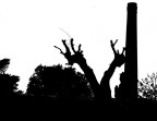 Brucia i "neri" ma anche i "bianchi"