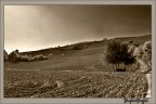 monte gesso