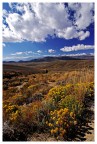 Mono County