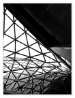 triangolature