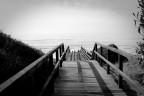 Foto scattata al mare di Latina d'inverno
Prime esperienze con la fotografia. Meglio tardi che mai.
Lumix GF1 20mm F 1:1.7