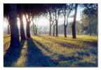 pinhole trial #2
