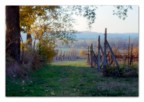 pinhole trial #3