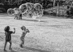 ...Bubbles...