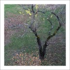 Autunno
