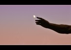 touch the moon