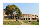 Il Colosseo  tra i monumenti i fotografati, e rischia di cadere nella banalit. Ho cercato di riprenderlo da un punto di vista diverso, dai Fori.. Spero di esserci almeno quasi riuscito!