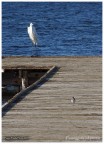 Passeggiata sul pontile