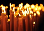 Luci