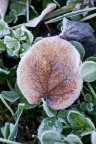 brrr...che freddo