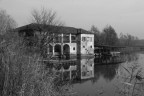 eos 500, 1/1000, 800 iso, av9,5, 35mm con efs 18-200

prima immagine che posto, sono ancora pivello, siate impietosi che mi serve per imparare. grazie