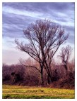 natura in letargo