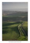 La stradina tra le colline