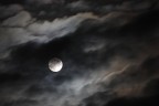 Melancholia