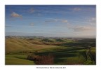 Un mare di verde