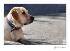 Sguardo lontano