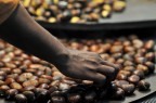 Marroni