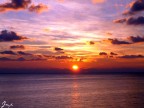 Splende sempre il sole. 9