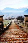 scalinata di foglie