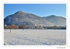 Neve
