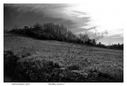 Paesaggio toscano.. piccola e veloce prova con D7000