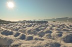prima neve