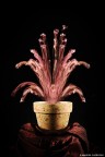 fiori?