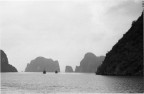 Vietnam - 1 rullo