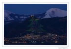 Albero di Gubbio 2011