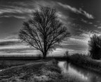 Invernale