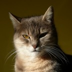 Ciao Katty!!!!! Ciao Katty!!!!!