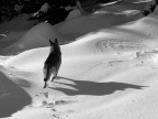 Nel silenzio